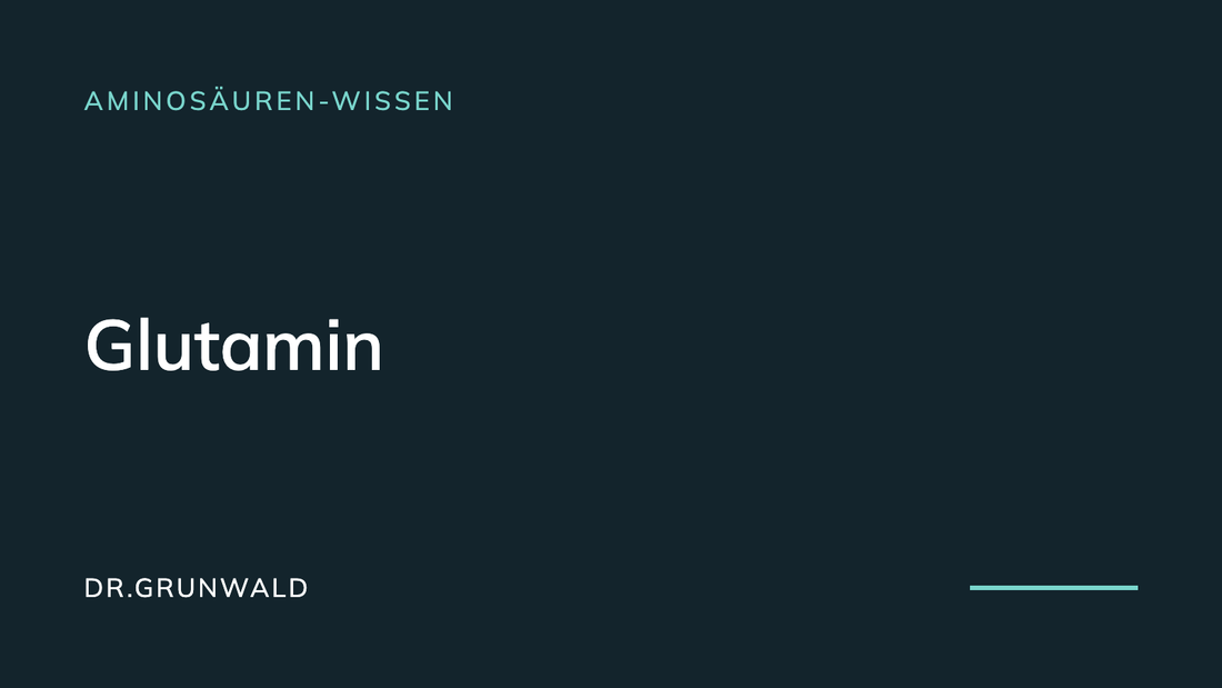 Artikel-Cover: Glutamin, was es ist und wo es vorkommt. Typografische Grafik aus dem DR.GRUNWALD Wissensbereich, Rubrik Aminosäuren-Wissen.